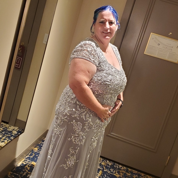 Full length evening gown by Adrianna Papell size 20 silver - Picture 5 of 6